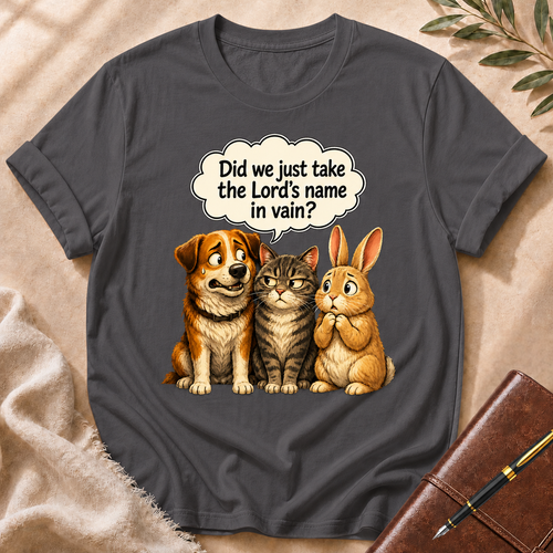 Did We Just Take The Name Of The Lord In Vain? T-Shirt